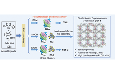 A rapidly self-healing emissive europium cluster-based supramolecular framework via solvent-driven hierarchical co-assembly 2026.100987
